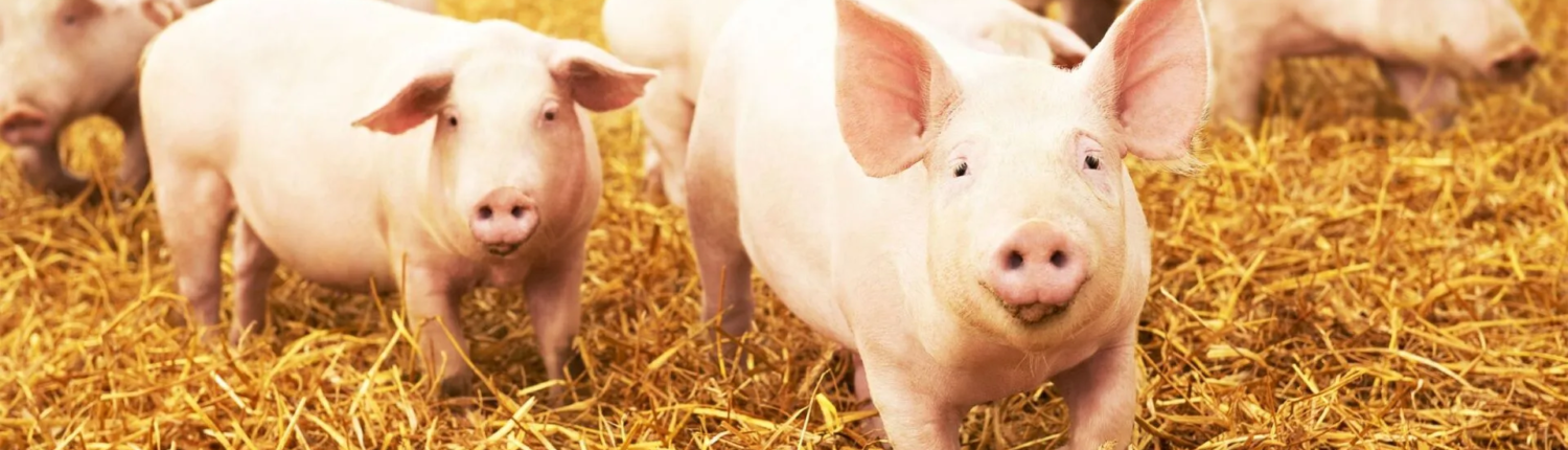 AdobeStock_97156919-1920w